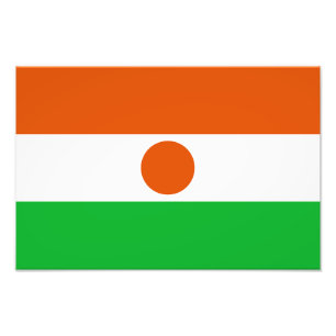 Niger Flag Photo Print