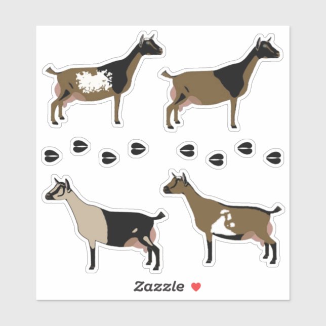 Nigerian Dwarf Dairy Goat (Sheet)