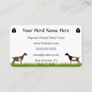 Nigerian Dwarf Dairy Goat Business Card