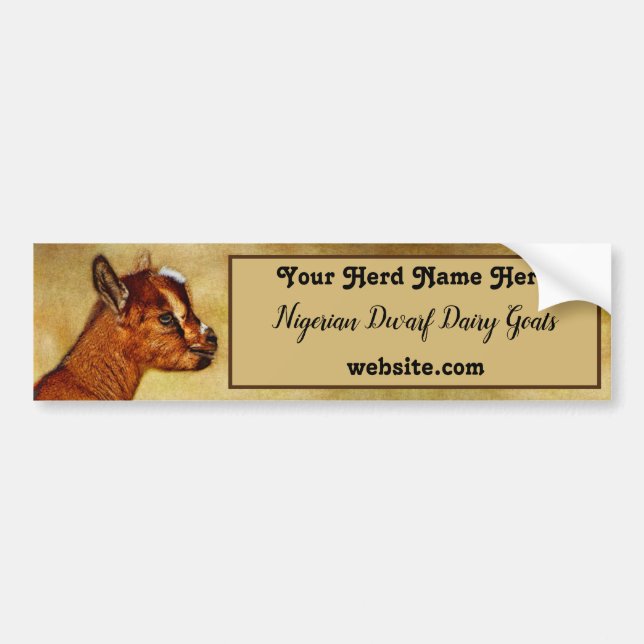 Nigerian Dwarf Dairy Goat Kid Bumper Sticker (Front)