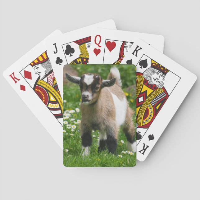 Nigerian Dwarf Goat Kid Playing Cards (Back)