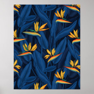 Night bird of paradise garden 2 poster