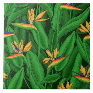 Night bird of paradise garden ceramic tile