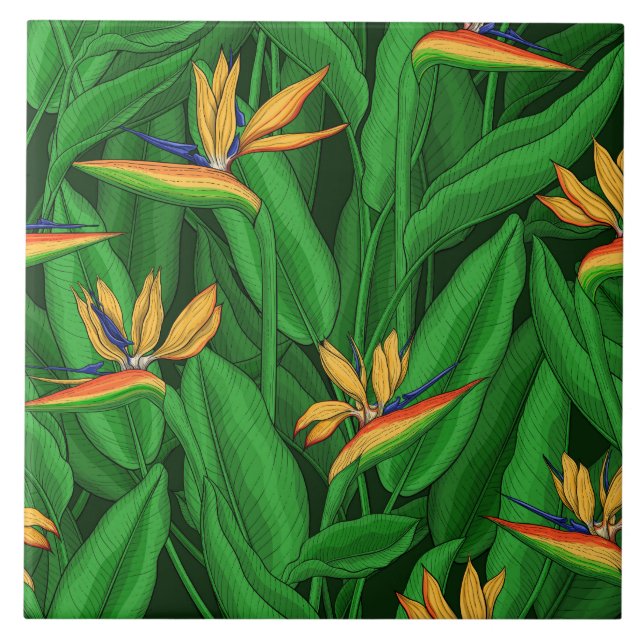 Night bird of paradise garden ceramic tile (Front)