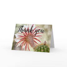 Night bloomer cactus flower thank you