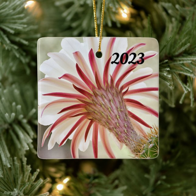 Night blooming cactus flower ceramic ornament (Tree)