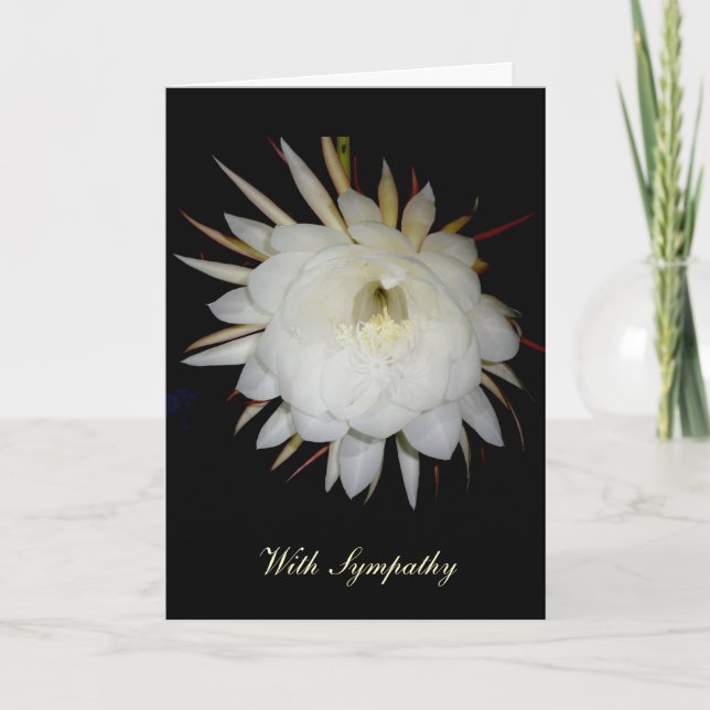 Night-Blooming Cereus Sympathy Card (Front)