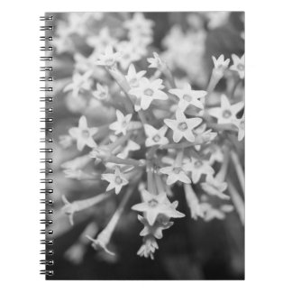Night-blooming Jasmine Notebook