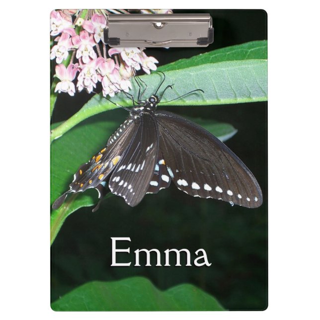 Night Butterfly Black Swallowtail at Shenandoah Clipboard (Front)