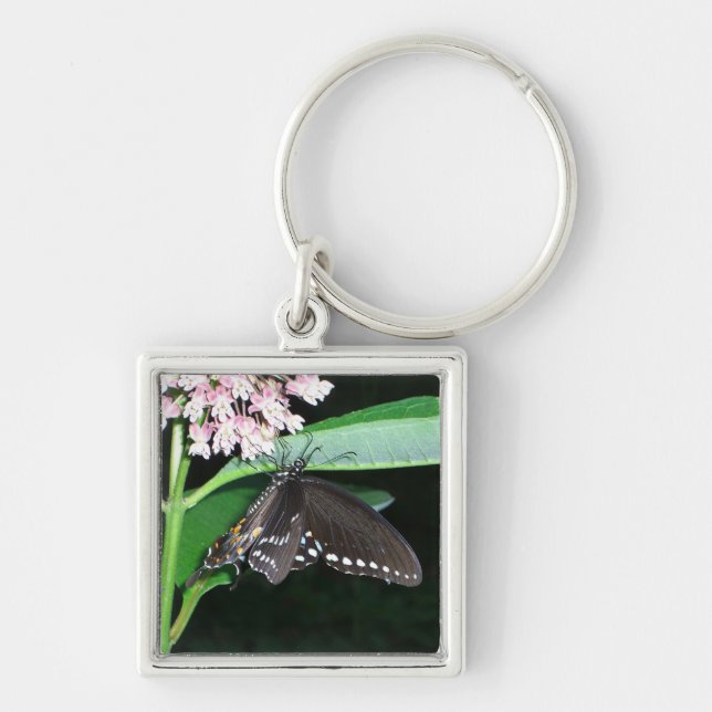 Night Butterfly Black Swallowtail at Shenandoah Key Ring (Front)