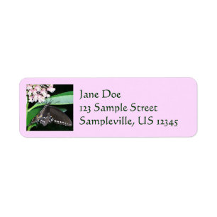 Night Butterfly Black Swallowtail at Shenandoah Return Address Label