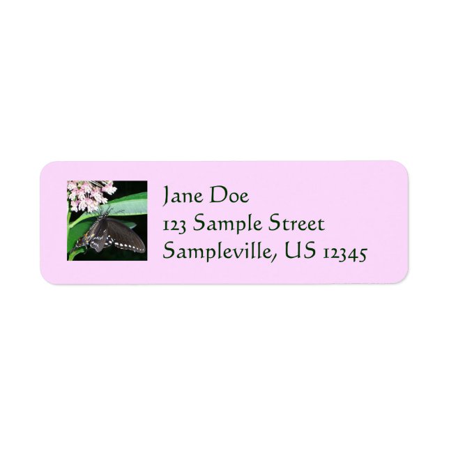 Night Butterfly Black Swallowtail at Shenandoah Return Address Label (Front)