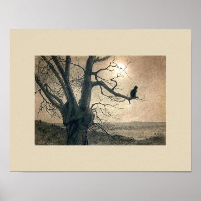 Night Cat in Tree Poster (Front)