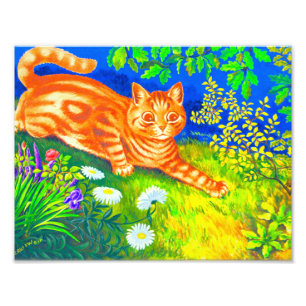 Night Cat Photo Print
