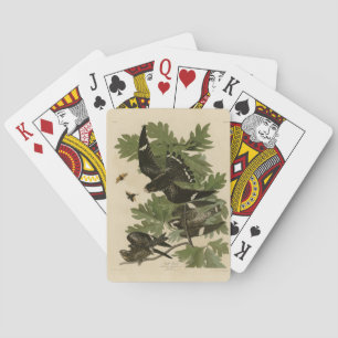 Night Hawk - John James Audubon's Birds of America Playing Cards