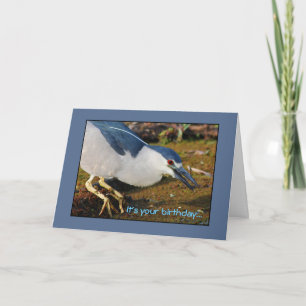 Night Heron Birthday Card