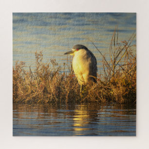 Night Heron Puzzle Golden Marsh Wildlife
