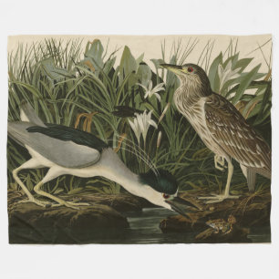 Night Heron, Qua Bird, Audubon's Birds of America Fleece Blanket