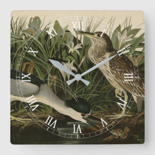 Night Heron, Qua Bird, Audubon's Birds of America Square Wall Clock