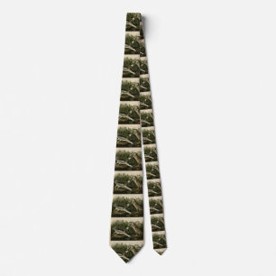 Night Heron, Qua Bird, Audubon's Birds of America Tie