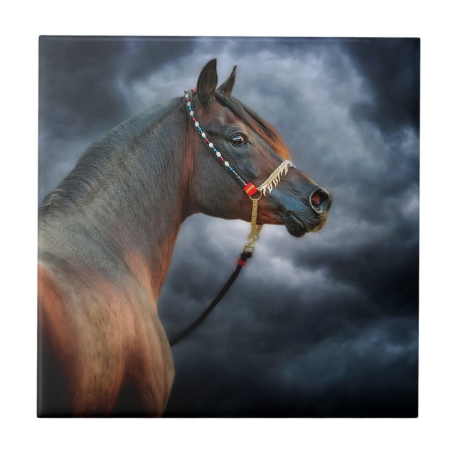 Night Horse Tile (Front)