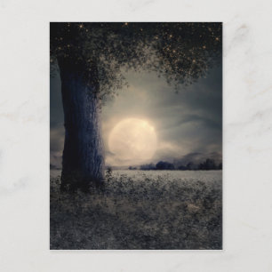 Night Landscape Postcard