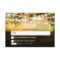 night lanterns romantic colourful wedding rsvp