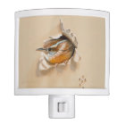 Night Light Carolina Wren by Camille Engel