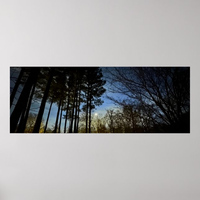 Night Light, Poster (Front)