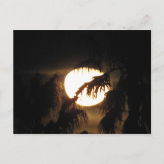 night moon postcard