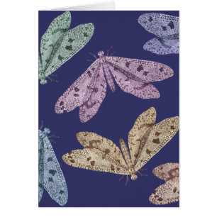 Night Moths in Flight from Diderot's Encylopedia