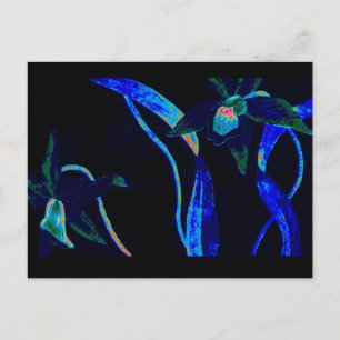 Night Orchid Postcard