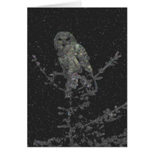 Night Owl