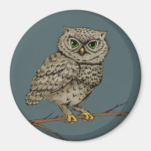 night owl magnet