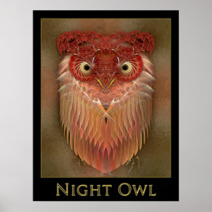 Night Owl Poster