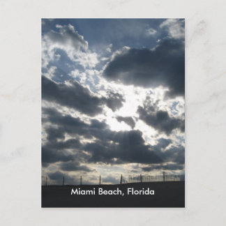 Night Sky Post Postcard