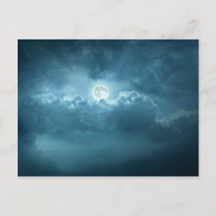 Night Sky Postcard