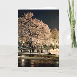 Night Snowstorm Salem Common Massachusetts Photo Card