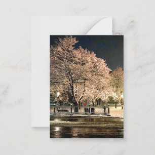 Night Snowstorm Salem Common Massachusetts Photo Card