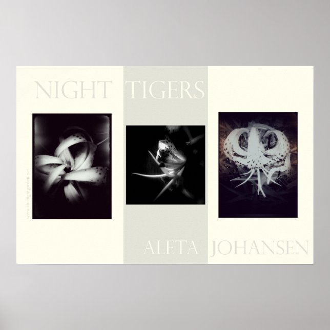 Night Tigers Poster (22.5 in. x 15 in.) (Front)