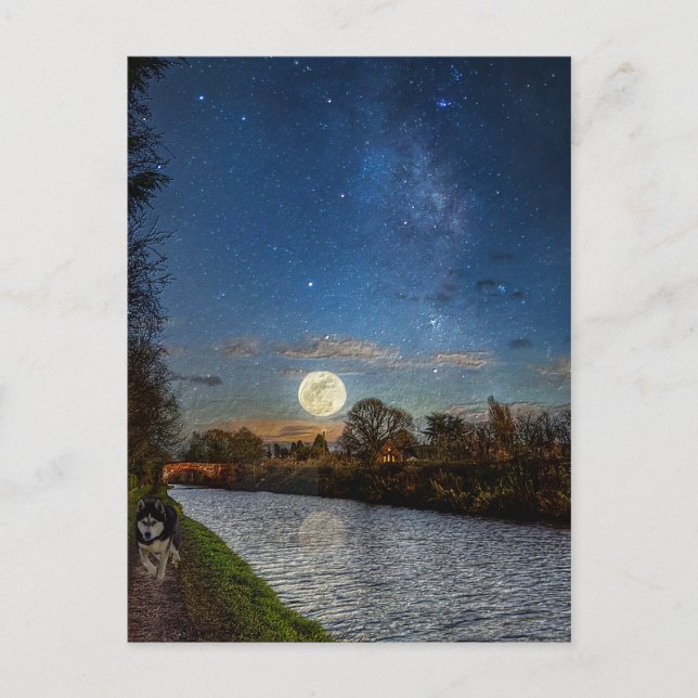 Night Time Prowl Postcard (Front)