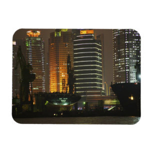 Night view of highrises in Pudong New Area by Magnet
