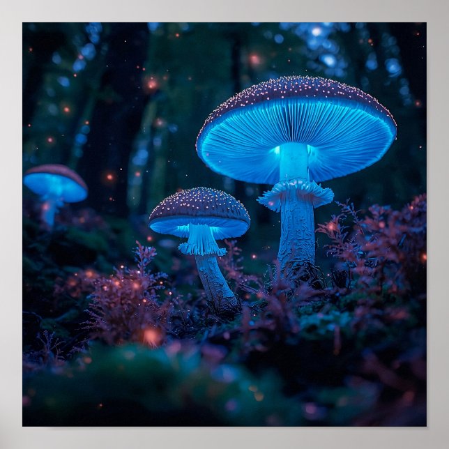 NightCap Poster (Front)