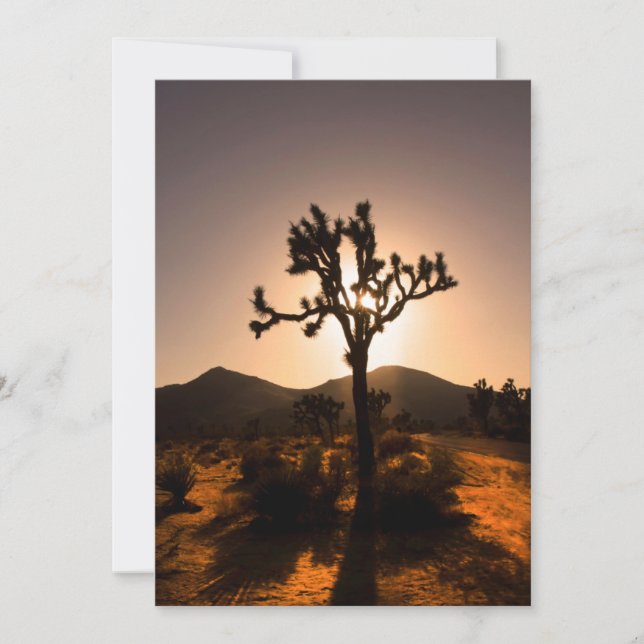 Nightfall begins at Joshua Tree  Card (Front)