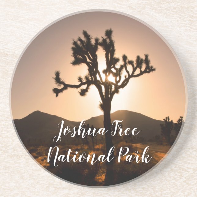 Nightfall begins at Joshua Tree  Coaster (Front)