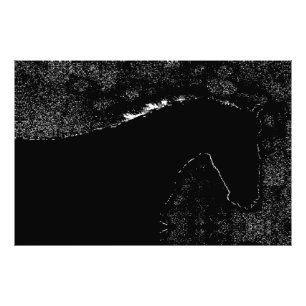 Nightfall Equine Symphony Photo Print