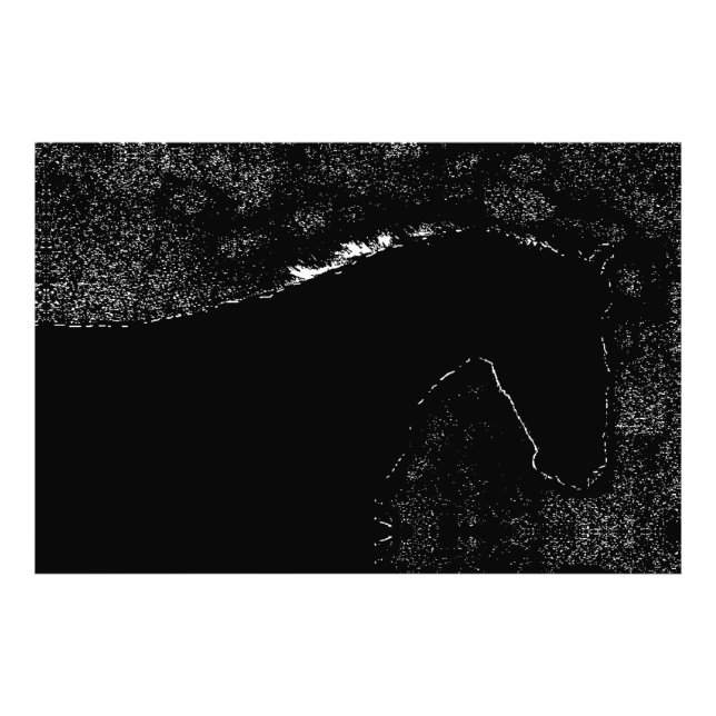 Nightfall Equine Symphony Photo Print (Front)