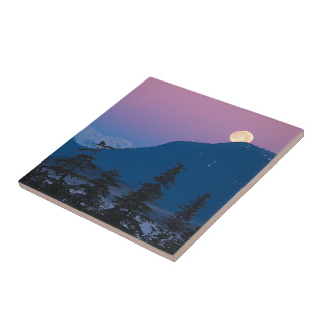 Nightfall in Alaska Ceramic Tile (Side)