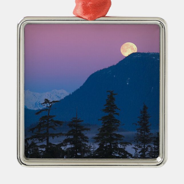 Nightfall in Alaska Metal Tree Decoration (Front)