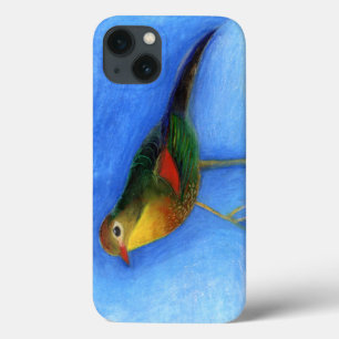 Nightingale Light 2012 iPhone 13 Case
